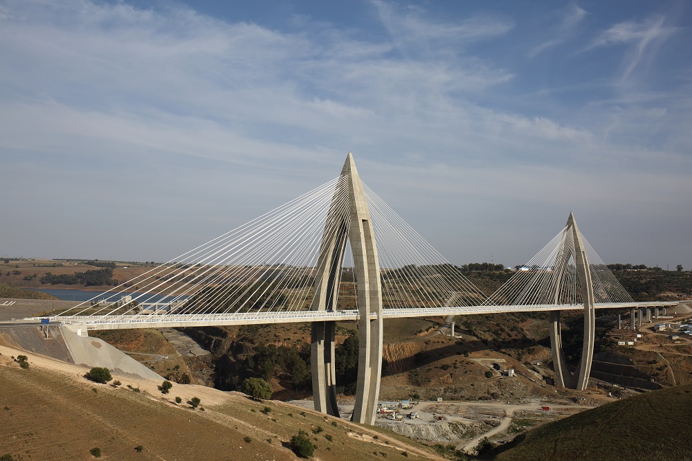 1721899583021.jpg 1721899583021.jpg